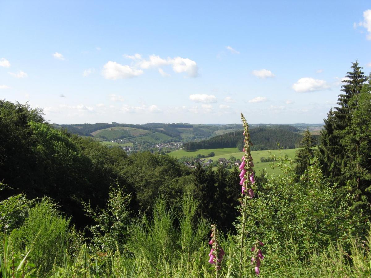 Urlaub Im Naturgarten 베르그노이스타트 외부 사진