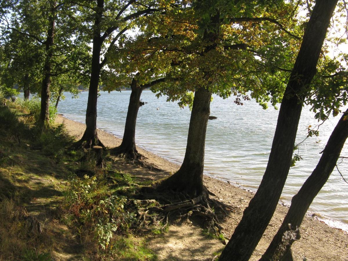 Urlaub Im Naturgarten 베르그노이스타트 외부 사진