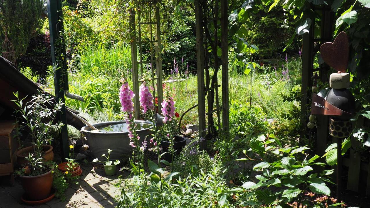 Urlaub Im Naturgarten 베르그노이스타트 외부 사진